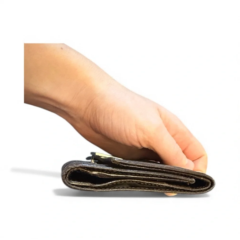 Fendi Logo‎ Canvas Wallet in Brown and Black